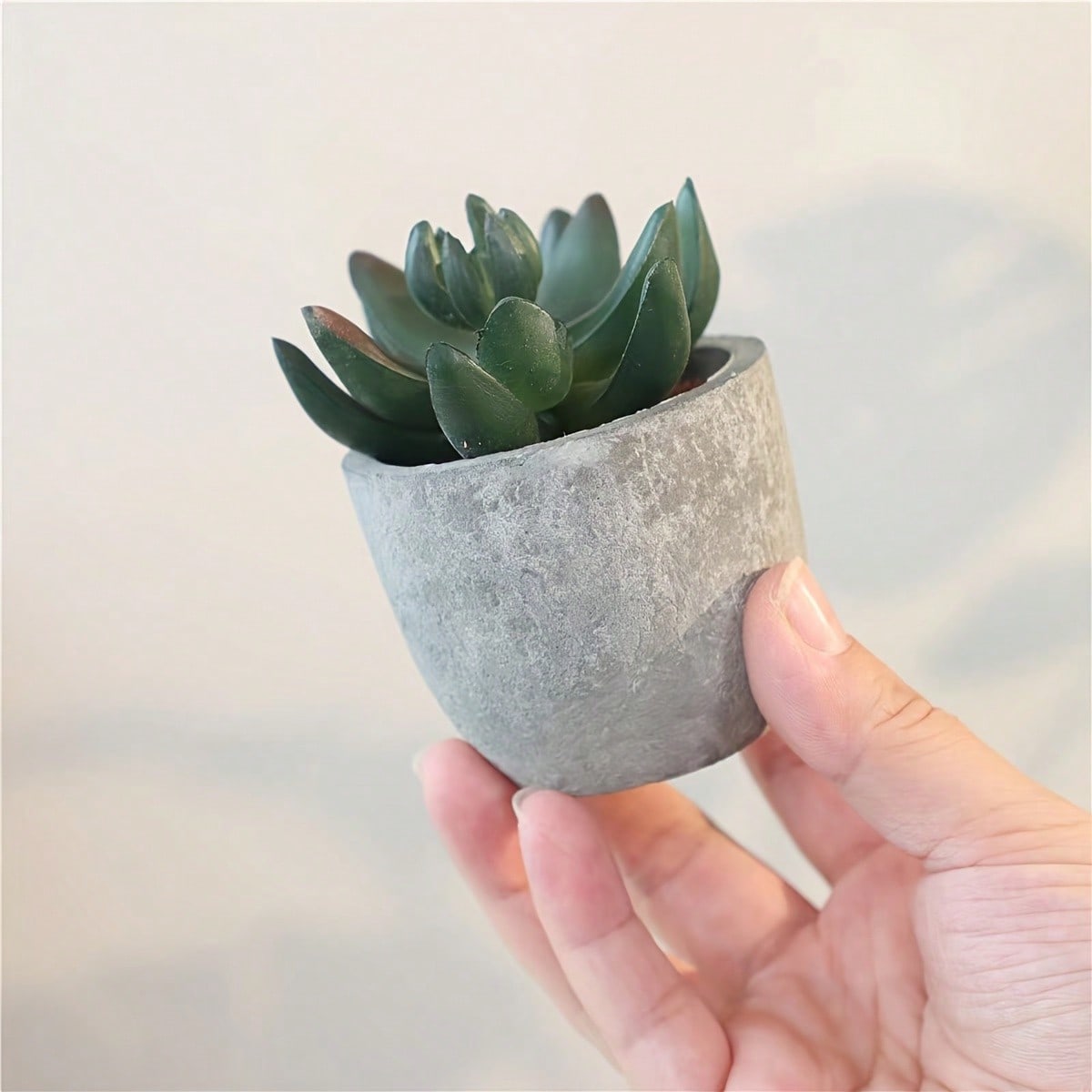 Artificial Succulent Pot Plants, Valentine Day, Gift Gifts Birthday Graduation