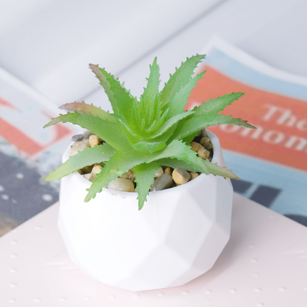 fake plant white pot Artificial Succulents Plants In Pots Small Fake Plants In White Cerami –  BestarGift
