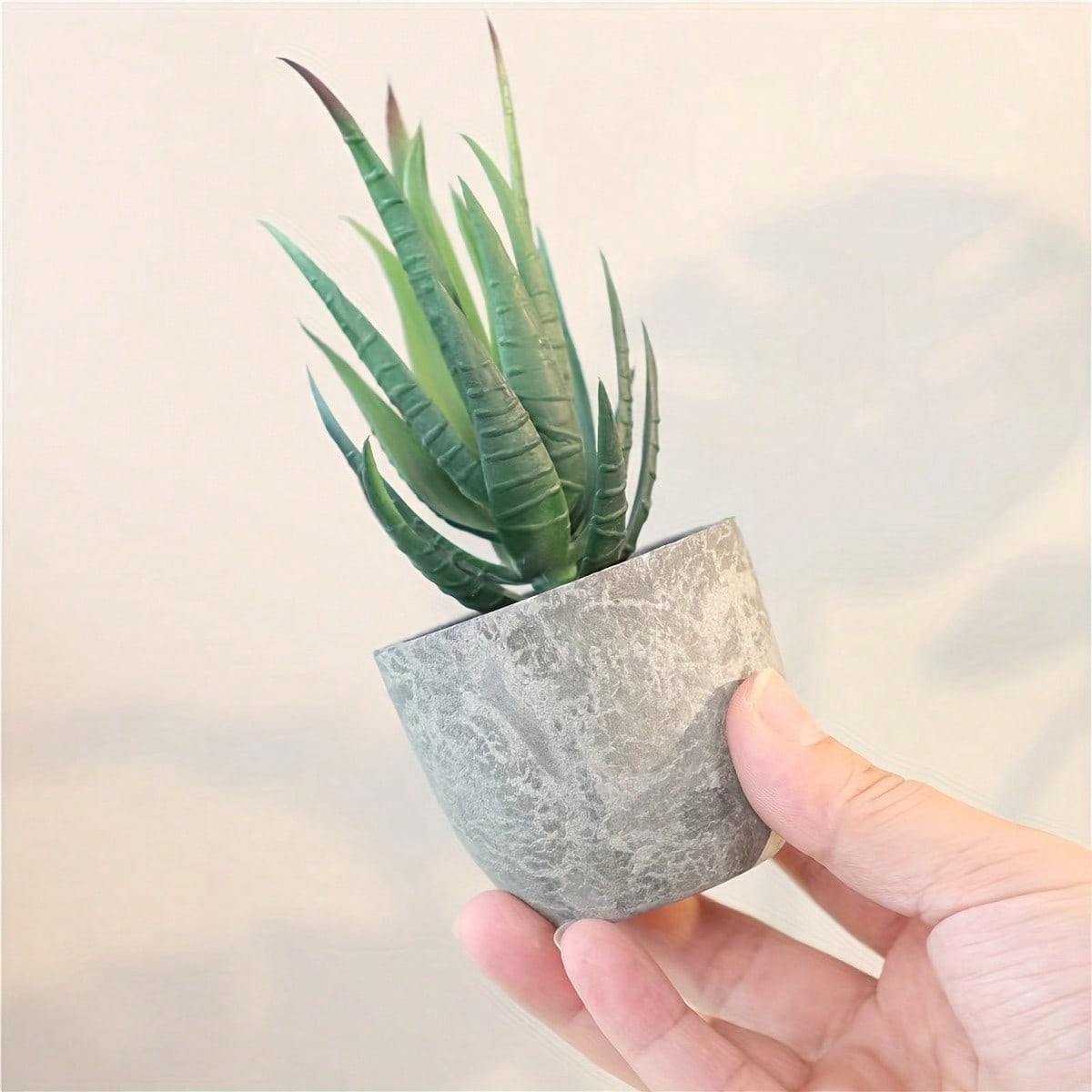 Artificial Succulent Pot Plants, Valentine Day, Gift Gifts Birthday Graduation