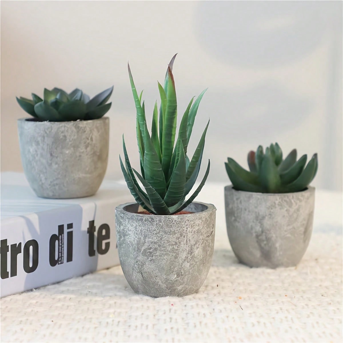 Artificial Succulent Pot Plants, Valentine Day, Gift Gifts Birthday Graduation