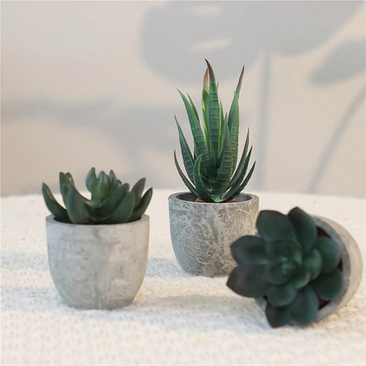 Artificial Succulent Pot Plants, Valentine Day, Gift Gifts Birthday Graduation