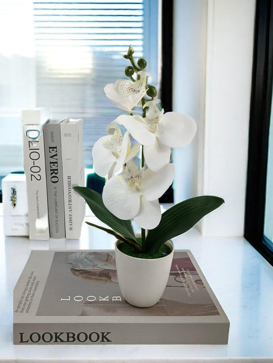 Artificial Butterfly Orchid Plant Potted, Valentine Day, Gift Gifts Birthday Graduation Home Decor Back To School Room Decor School Supplies