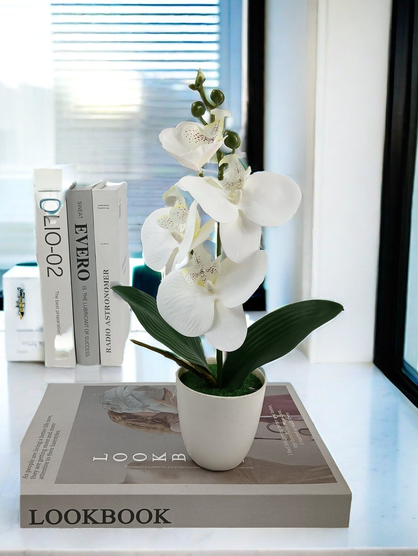 Artificial Butterfly Orchid Plant Potted, Valentine Day, Gift Gifts Birthday Graduation Home Decor Back To School Room Decor School Supplies