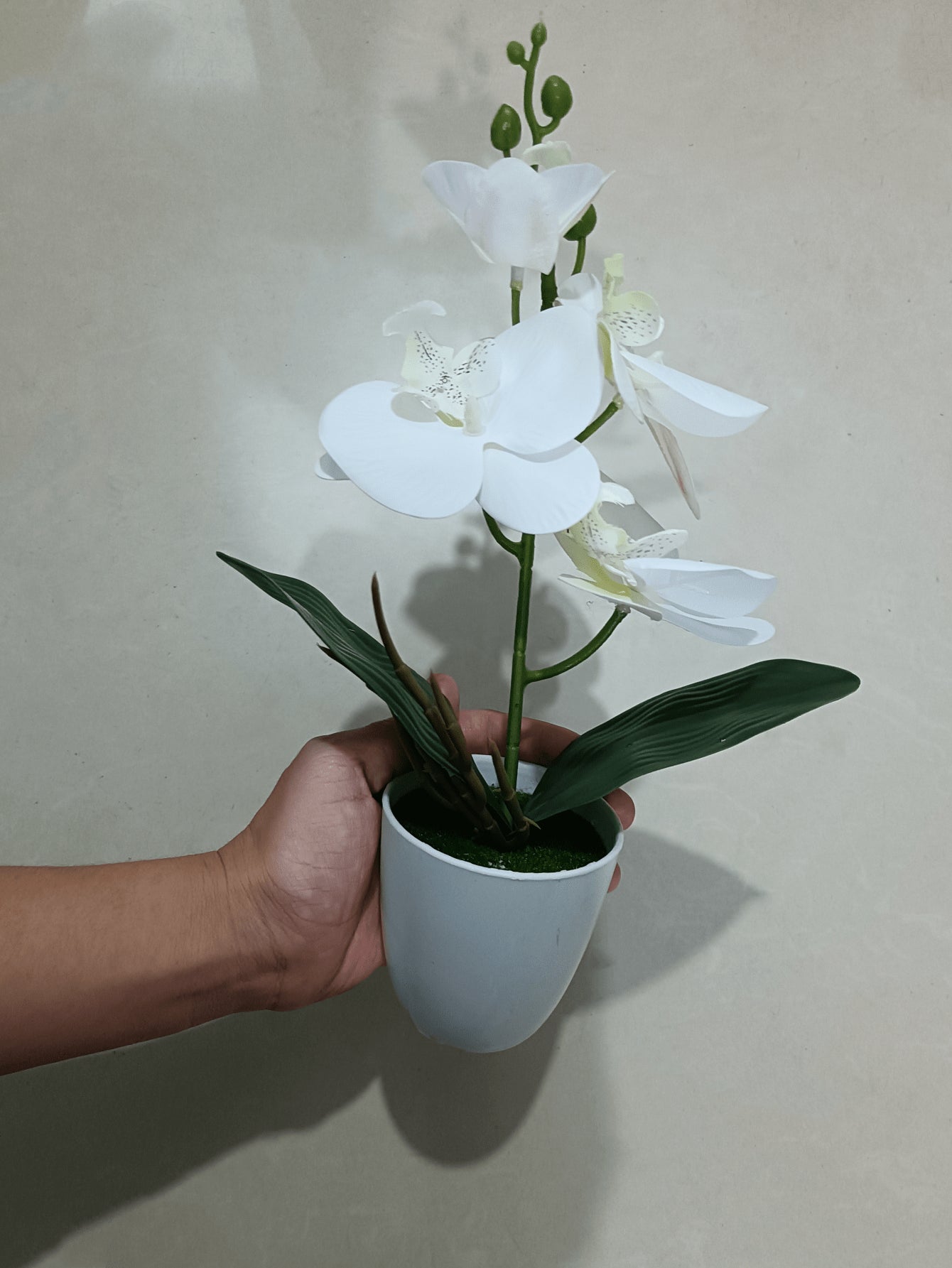 Artificial Butterfly Orchid Plant Potted, Valentine Day, Gift Gifts Birthday Graduation Home Decor Back To School Room Decor School Supplies
