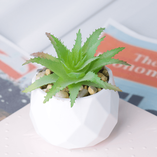 Artificial Succulents Plants In Pots Small Fake Plants In White Ceramic Pots For Bathroom Aesthetic Office Shelf Desk Living Room Bedroom Decor Home Decoration, Graduation Season, Thanksgiving, Mother's Day Gift, Including Container Gifts Birthday
