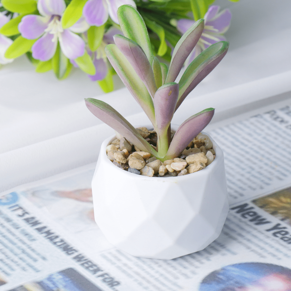 Artificial Succulents Plants In Pots Small Fake Plants In White Ceramic Pots For Bathroom Aesthetic Office Shelf Desk Living Room Bedroom Decor Home Decoration, Graduation Season, Thanksgiving, Mother's Day Gift, Including Container Gifts Birthday