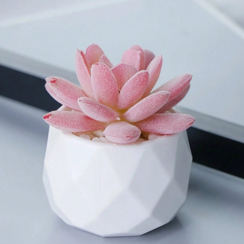 faux pink succulent Succulents Plants Artificial With Pot Small Fake Potted Plants Artific – BestarGift