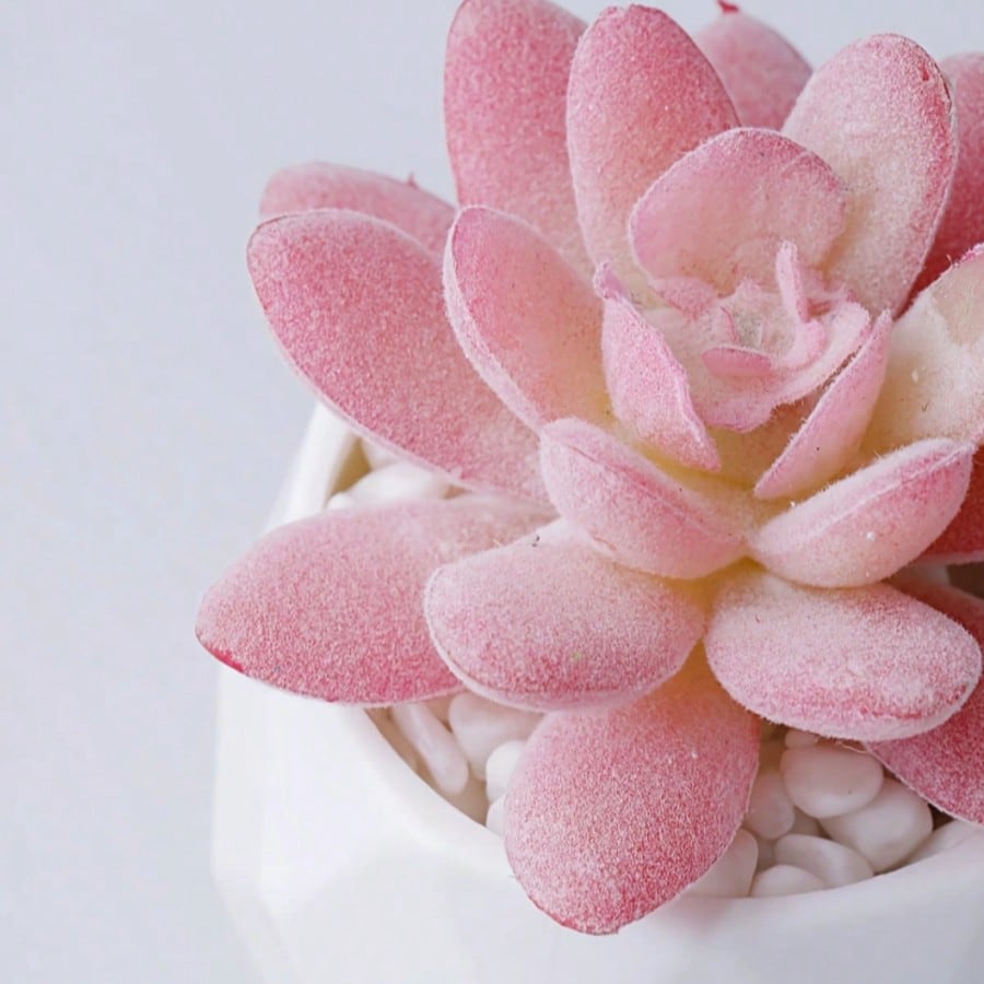 Succulents Plants Artificial With Pot Small Fake Potted Plants Artificial Decor Pink Faux Plants For Living Room Bedroom Office Desk Bookshelf Bathroom Decor Artificial Plants