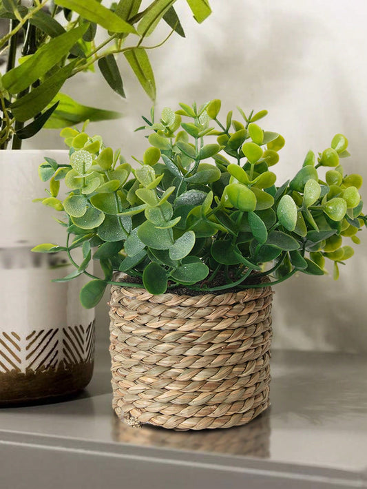 3pcs/Set Wicker Small Potted Plants, Artificial Plant Grass Mounds, Sea Grass Rope, Gifts, Artificial Plants, Grass Mounds, Green, PE Material, Polyester Fibre Material, Handmade, Wedding Season Decorations, Graduation Season Decorations